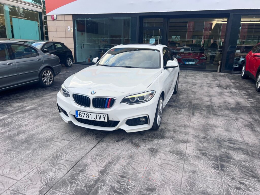 Detalles Mono1 1024x768